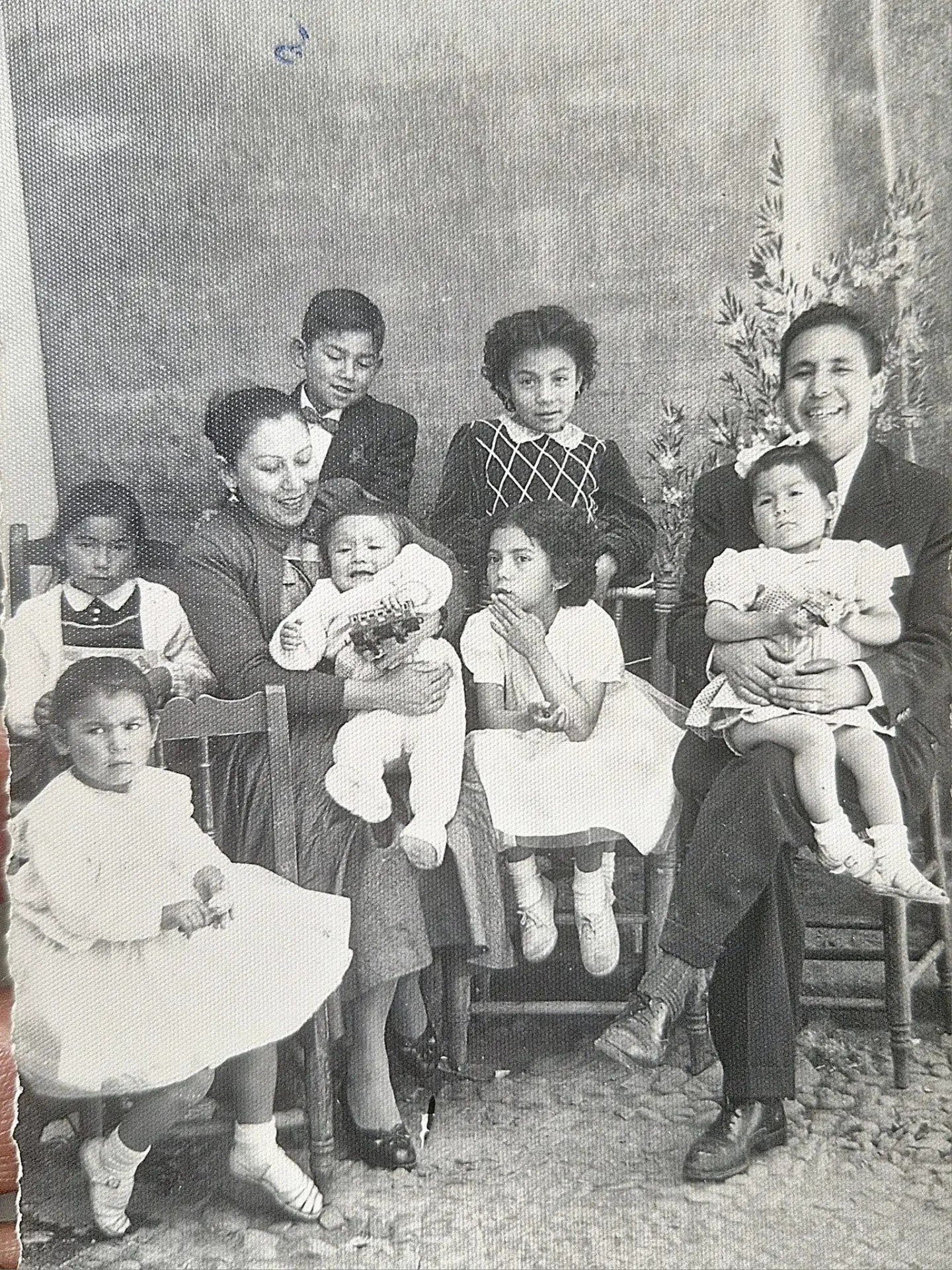 Familia Sotomayor Alba